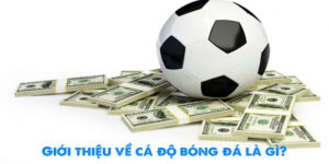 Cá Độ Đá Banh F8BET: Địa Chỉ Cập Nhật Kèo Cược Chính Thống